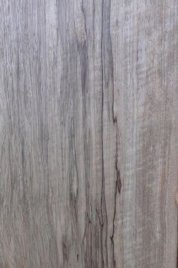 Black Limba/Korina