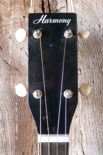 kop met Harmony logo