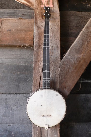 Joe Daniels Engelse 5 snarige Banjo