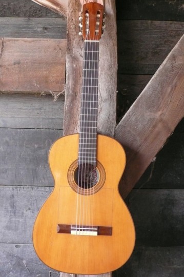 Vicente Tatay flamenco gitaar