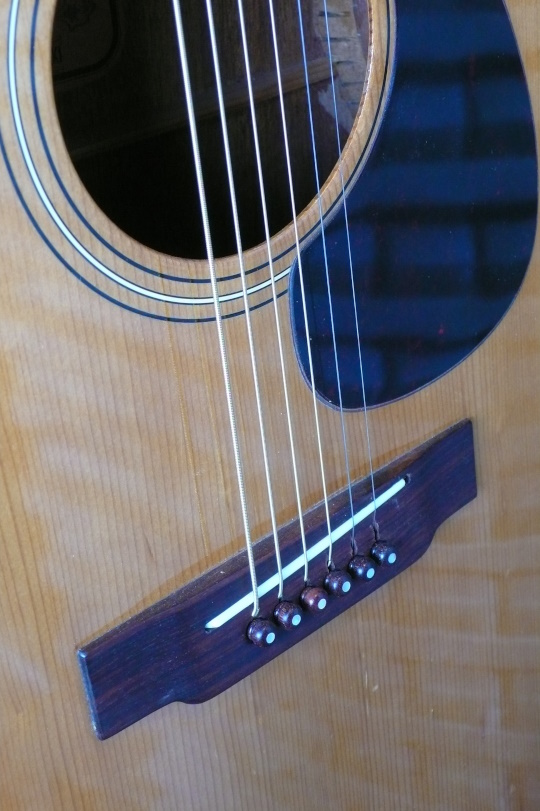 Palissander zadel met nieuwe Palissander pinnen en nieuw beentje