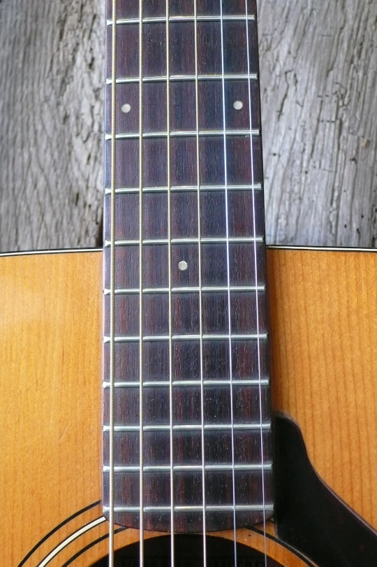 palissander toets, frets zijn licht ge"dressed"