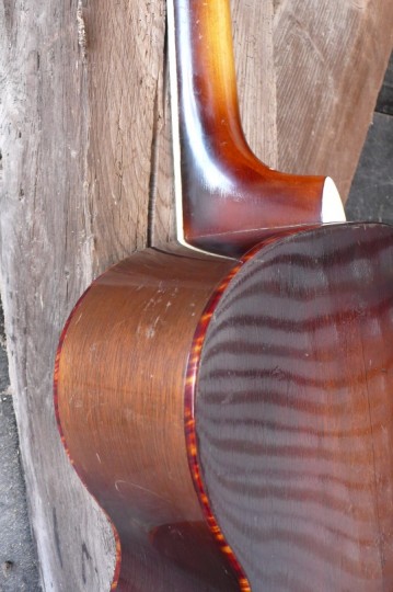 celluloid binding