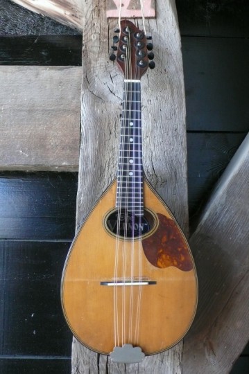 Bruno's "The" Vernon flattop mandoline