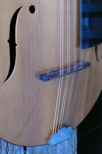 massieve spruce top