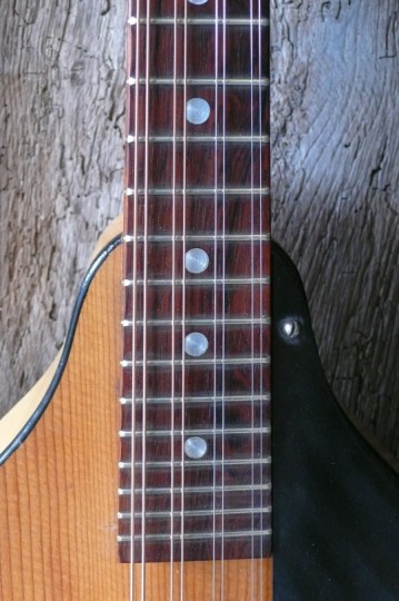 Palissander toets 'frets ge'redressed