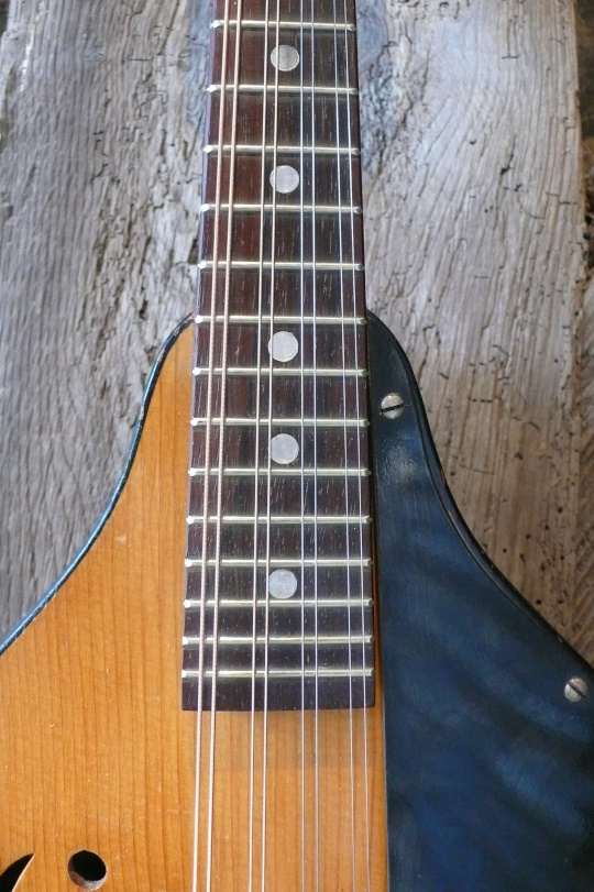 Palissander toets 'frets ge'redressed