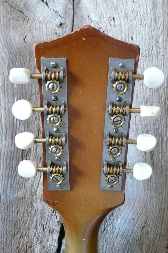 originele waverly tuners met witte knopjes
