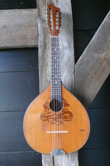 Thüringer waldzither