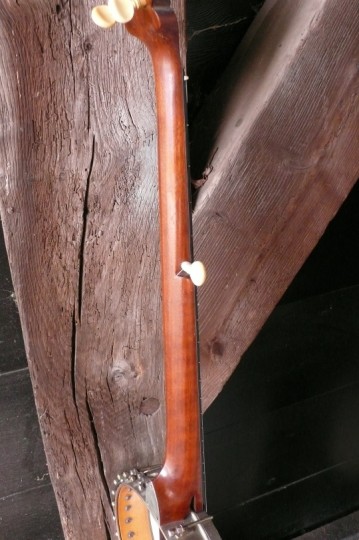 mahonie c-profiel hals