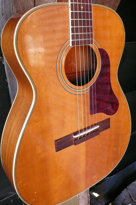 massieve spruce top