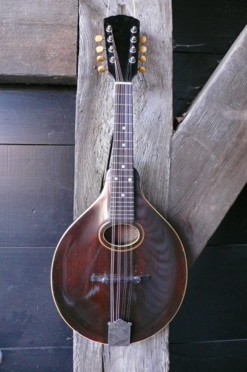 Gibson A1 mandoline  1921 serienr: 66205