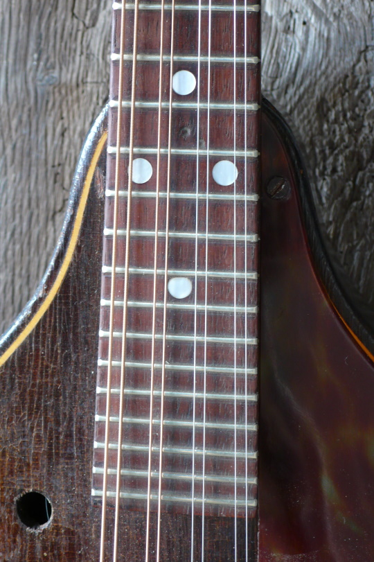 Rio palissander toets ge'redressed', 9 fret to the body hals