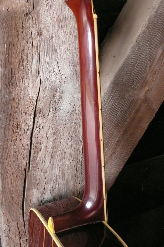 Suzuki Hals , licht v-vorm