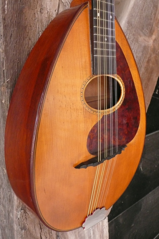 spruce top met celluloid ingelegde slagplaat