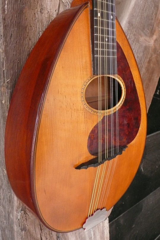 spruce top met celluloid ingelegde slagplaat