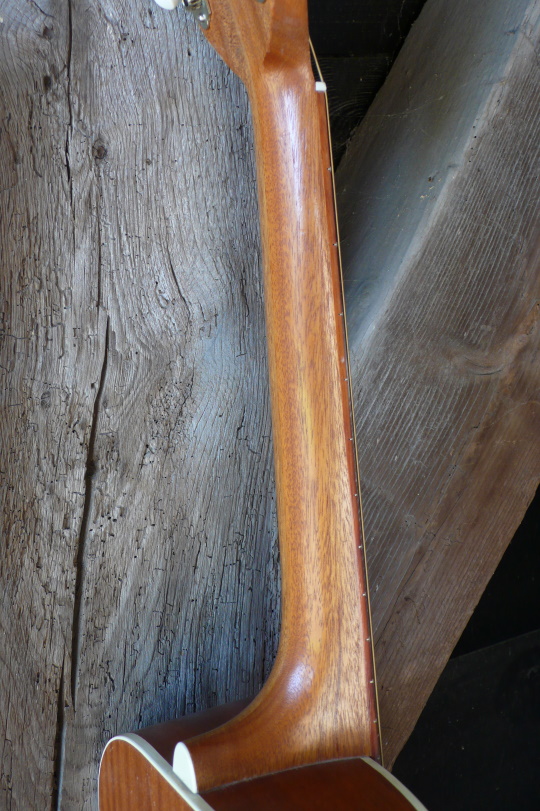 c-profiel Mahonie hals