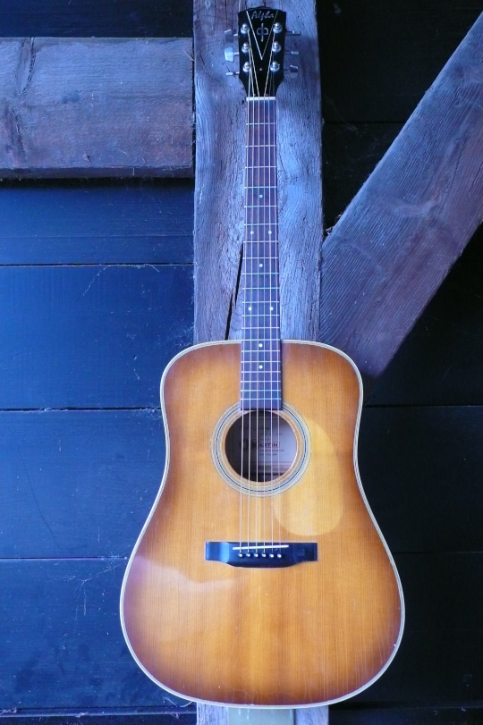 Alpha/Vega Martin d18 dreadnought