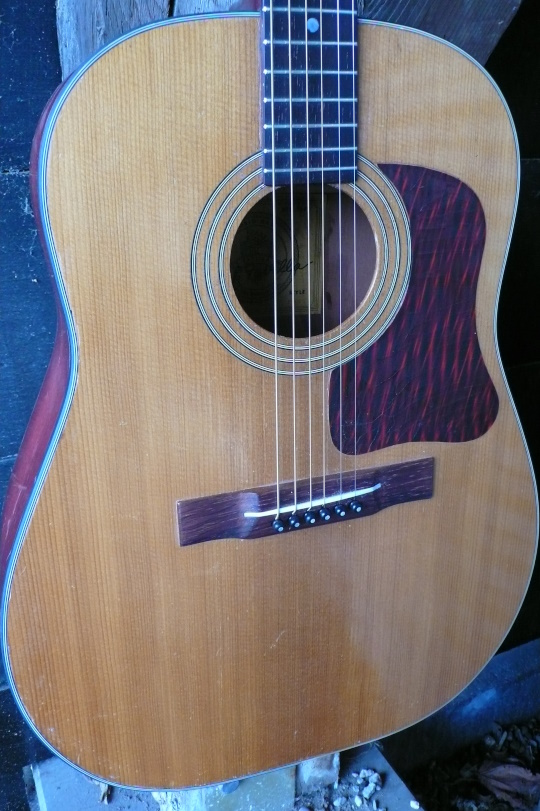 massieve spruce top