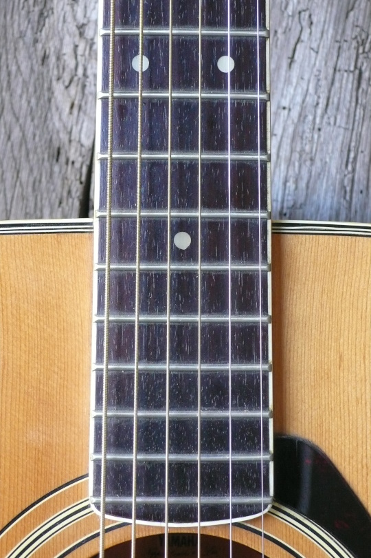 frets ge "redreesed"