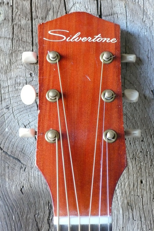 kop met Silvertone waterdecal logo