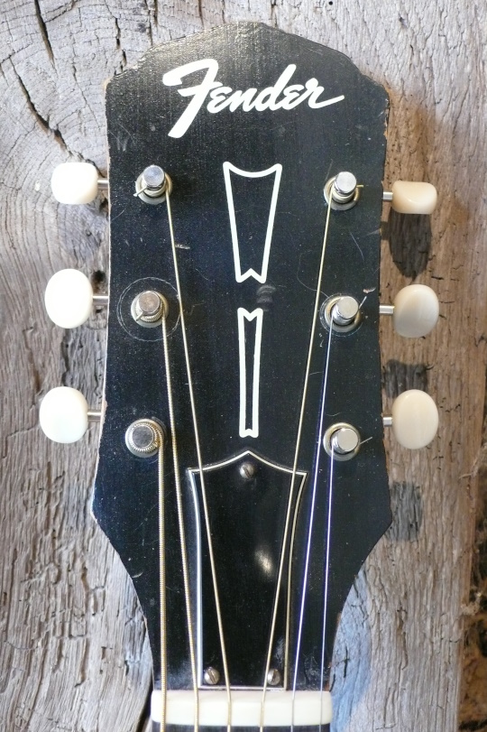 kop  met Fender decal logo