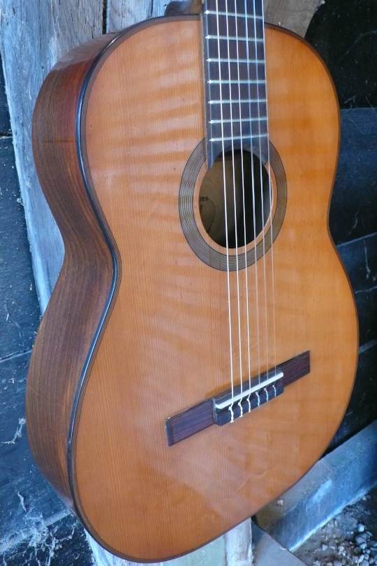 Spruce top