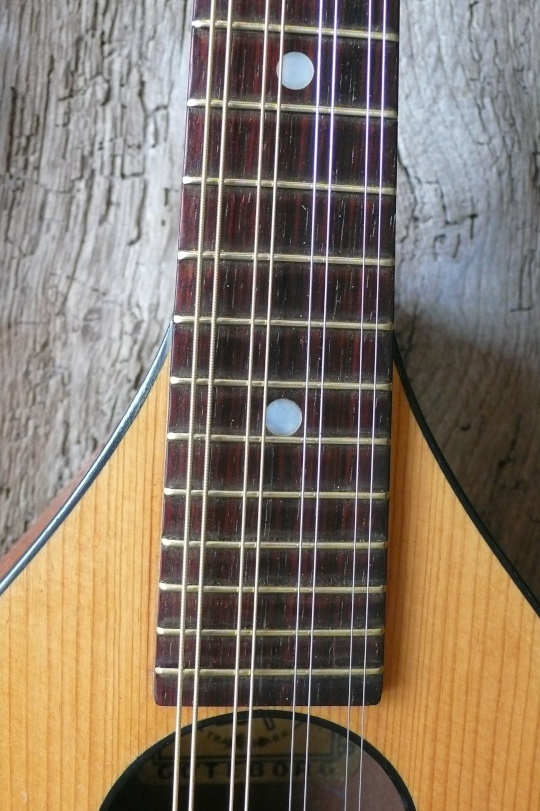 Palissander toets, frets ge"redressed"