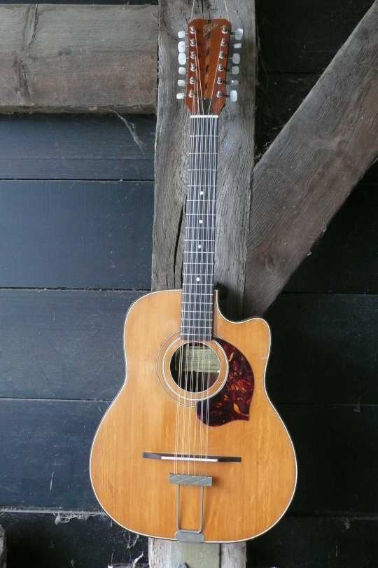 Frii 12 snarige cutaway Dreadnought '60
