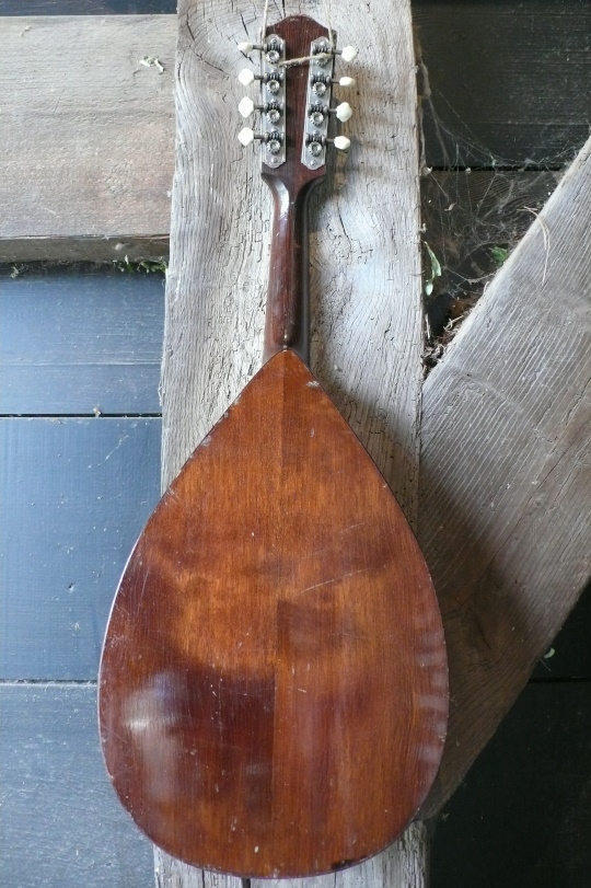Berken/Esdoorn achterkant