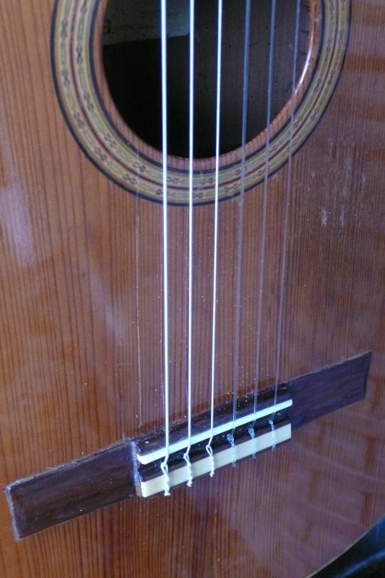 Nieuw benen zadelbeen