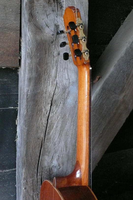 loofceder (Cedrella) hals