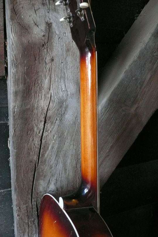 Stevige D-profiel nek