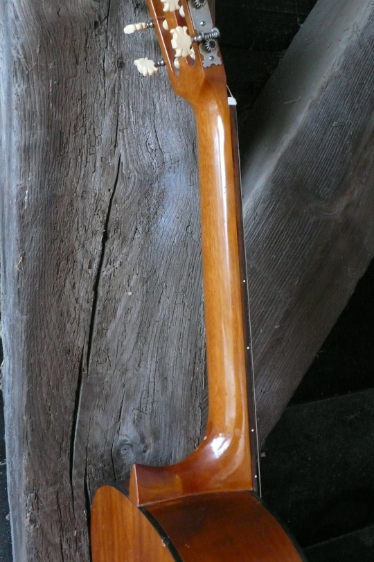 c-profiel mahonie hals