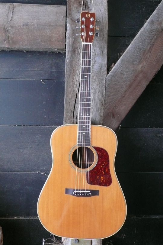 Gallagher Aria g-400 flattop dreadnaught 1974/1975