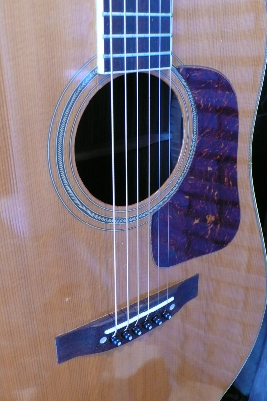 Palissander zadel met nieuwe Ebben pinnen en nieuw beentje.Originele celluloid slagplaat