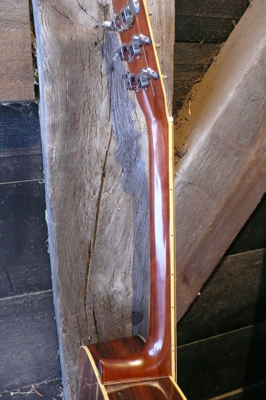 c-profiel mahonie hals