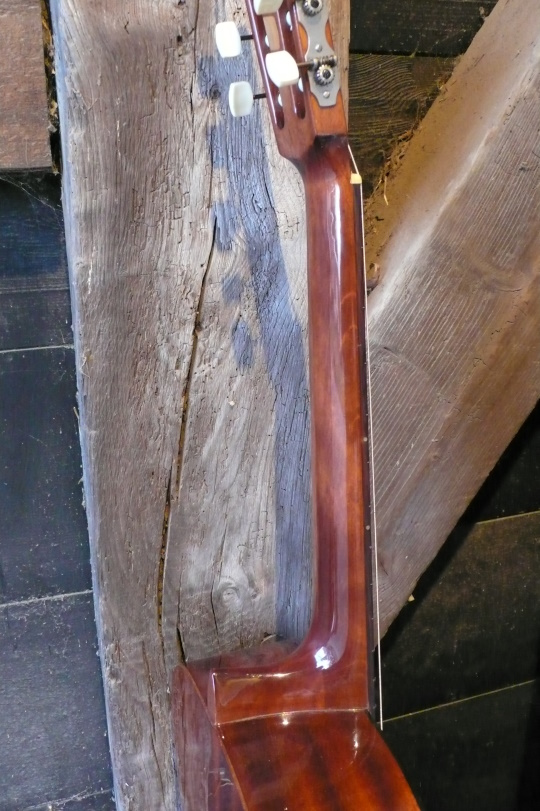 Klassiek C/D-profiel hals van loofceder