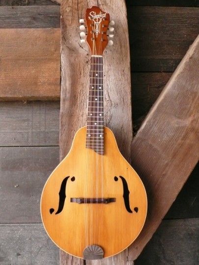 A-style Silvertone mandoline