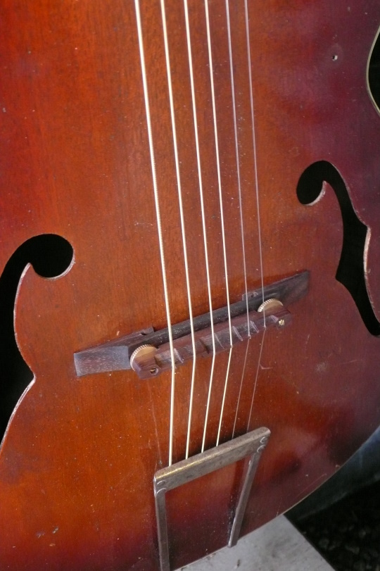 Nieuwe Palissander  brug met messing stelschroeven origineel tailpiece