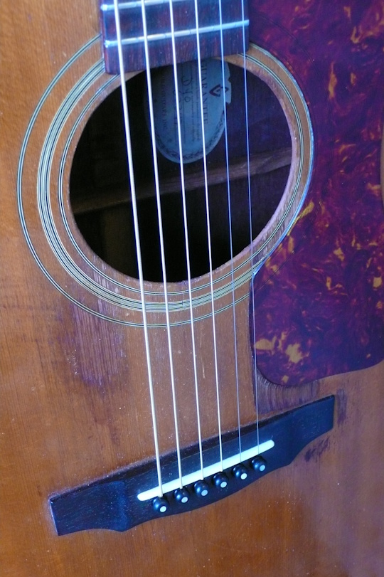 Palissander zadel met nieuwe Ebben pinnen en zadelbeen ( van been), nieuwe celluloid slagplaat