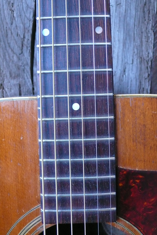 palissander toets opnieuw gefret