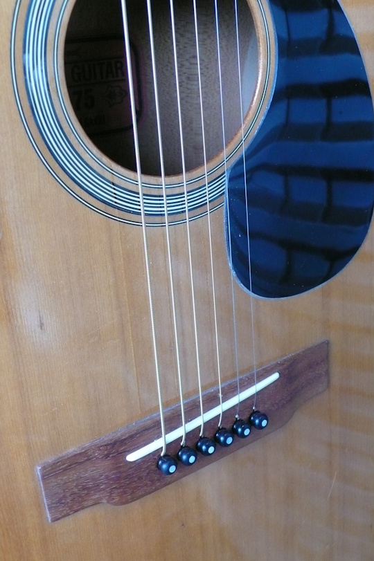 palissander zadel, celluloid slagplaat