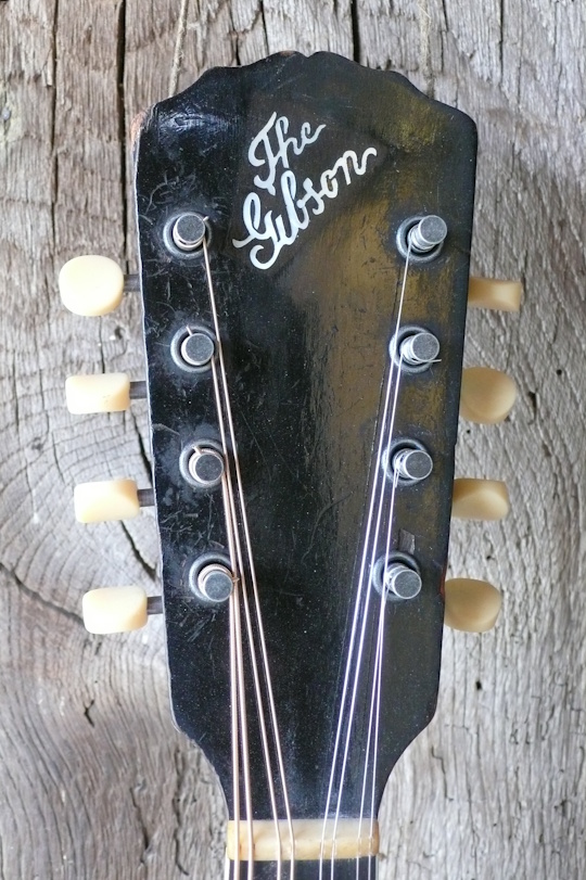 kop met paarlemoeren "the Gibson" inleg 