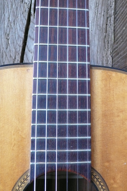 Palissander toets voorzien van nieuwe frets