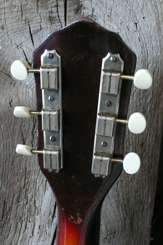 Originele Kluson 3 on a plate tuners met nieuwe ivoroid knopjes