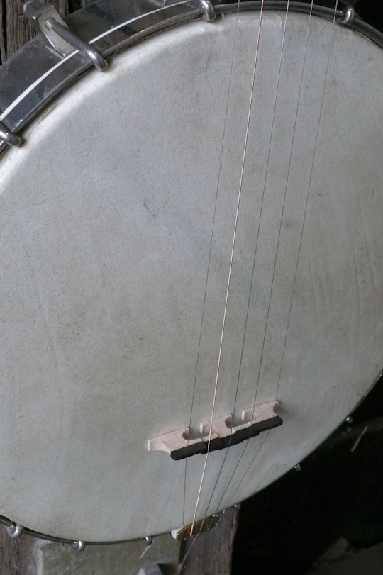 Natuurlijk kalfsvel, nieuwe gecompenseerde brug (esdoorn/ebben), no knot tailpiece