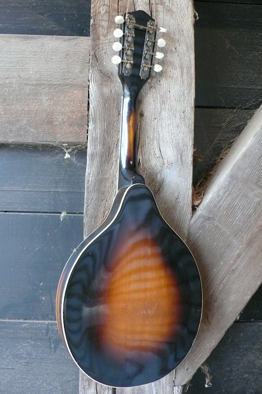 sunburst massieve esdoorn/mahonie klankkast