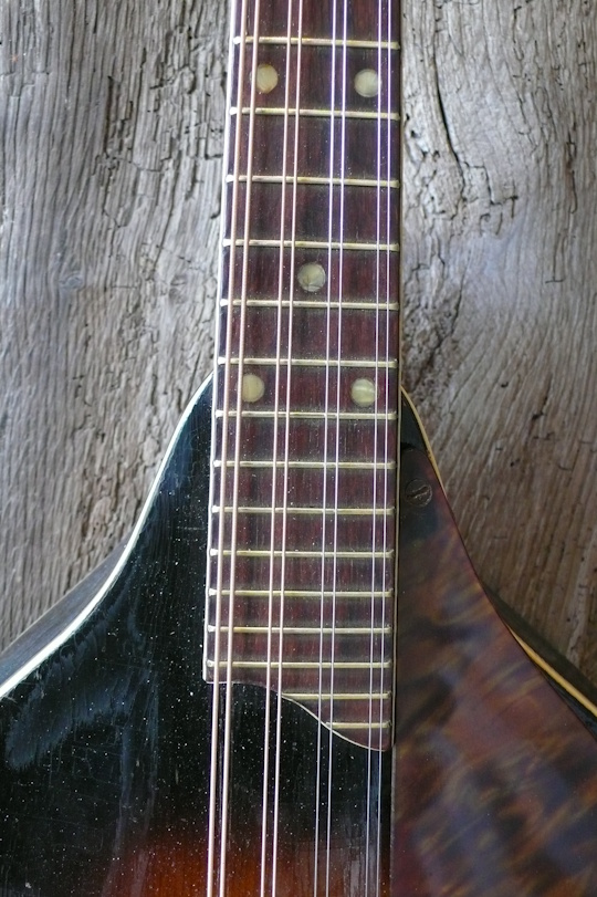 Rio palissander toets, frets ge'dressed'