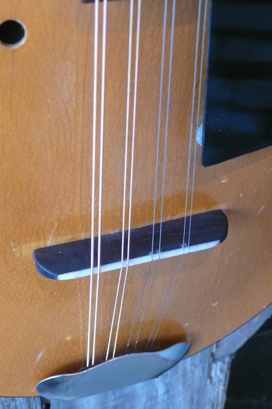 eigen gemaakte Palissander brug getopt met been (vorm naar origineel), nieuw tailpiece